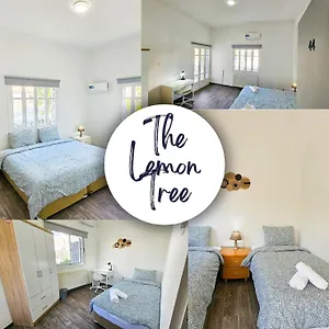 hostel-the-lemon-tree.protaras-cy-hotels.com/